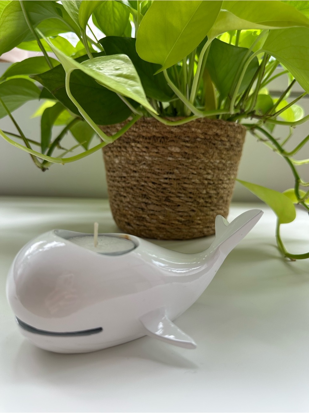 CB2 - White Whale Tea Light Holder - Metal with powder coat finish
